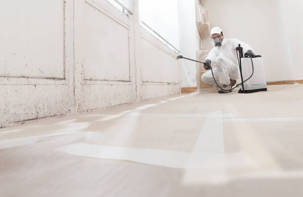 Black mold remediation team in Rockwood